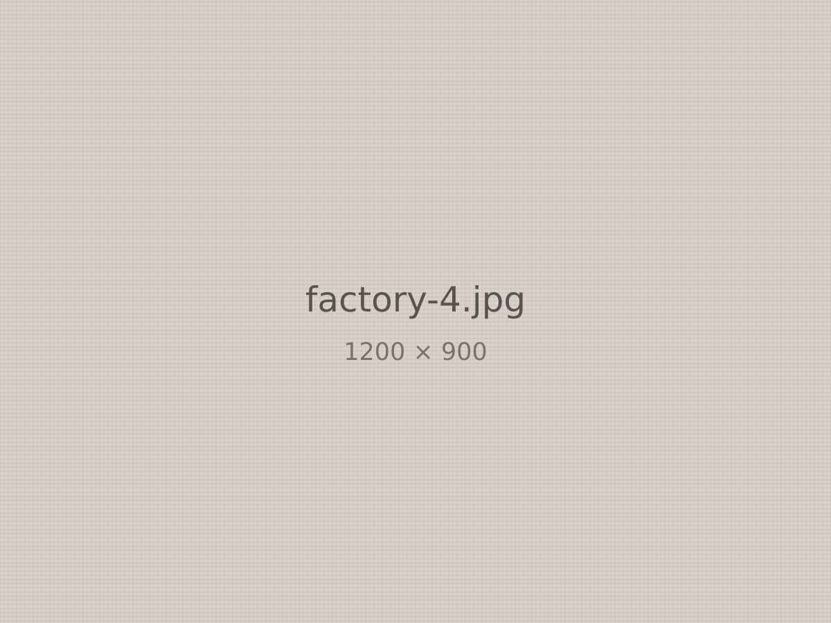 Inspection at the [COMPANY_NAME] factory